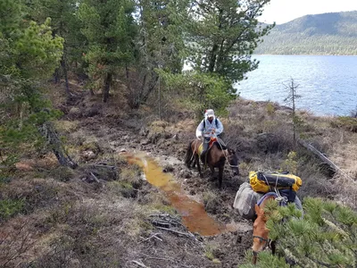 Die Pfade sind teilweise so matschig, dass die Pferde bis zum Bauch einsinken.