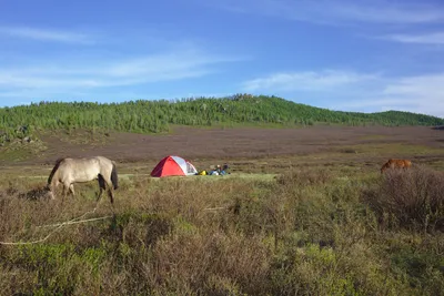 Zelten mit Pferd und Pack am Fluss