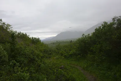 Schönstes Wetter beim Wandern im Kluane Nationalpark