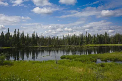Auch die Landschaften Alaskas sind von Seen und Wäldern geprägt