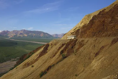 In den Denali Park geht's nur mit Bus