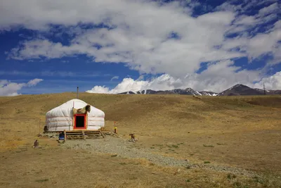 Bereits im Altai Gebirge sind Jurten heimisch